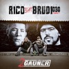 2 Gauner (feat. Brudi030) - Single