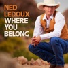 Where You Belong - Single