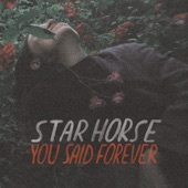 Star Horse - Secrets