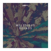 Melodious Sounds, Vol. 17 artwork