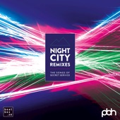 Flash in the Night (Octolab Remix) artwork