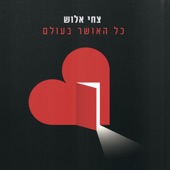 כל האושר בעולם artwork