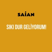 Sıkı Dur Geliyorum! artwork