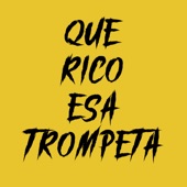 Que Rico Esa Trompeta artwork