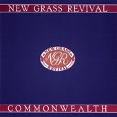 New Grass Revival - Nothing Wasted, Nothing Gained