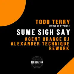 Sume Sigh Say (Agent Orange DJ & Alexander Technique Rework) [feat. House of Gypsies] - Single - Todd Terry