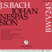 Johannespassion, BWV 245: No. 7, Arie - Von den Stricken meiner Sünden (Alt) artwork