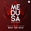 What You Need - Single