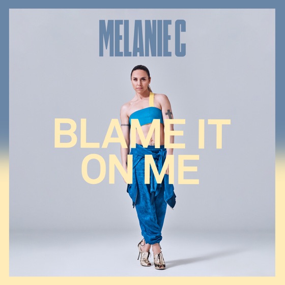 Cover artwork for Blame It On Me