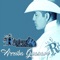 Ámame una Vez Más - El Remmy lyrics
