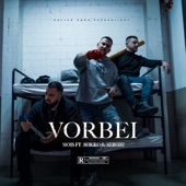 Vorbei (feat. Sokko167 & Albozz) artwork