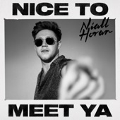 Nice to Meet Ya artwork