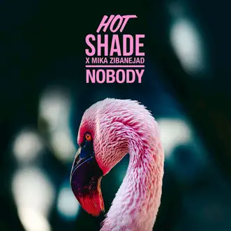 Nobody - Single by Hot Shade & Mika Zibanejad album reviews, ratings, credits