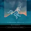 Butterfly (Julie Odnoralov Remix) - Single album lyrics, reviews, download