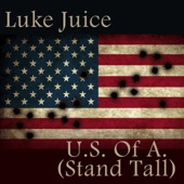 U.S. Of a. (Stand Tall) artwork