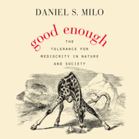 Daniel S. Milo - Good Enough artwork