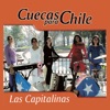 Cuecas Para Chile