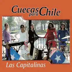 Cuecas Para Chile - Las Capitalinas Cuecas Para Chile - Las Capitalinas