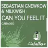 Can You Feel It (Sebastian Gnewkow Remix) song lyrics