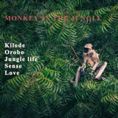 Monkey in the Jungle - EP artwork
