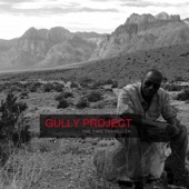 Gully Project artwork