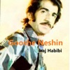 Iraj Habibi - Amin