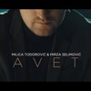 Avet (feat. Mirza Selimovic) - Single