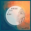The Psalm 139 Song: Where Can I Hide - Single