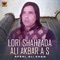 Lori Shahzada Ali Akbar A S - Afzal Ali Khan lyrics