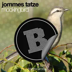 Mockingbird - Single by Jommes Tatze album reviews, ratings, credits