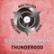 Thundergod - DJ Tom & Norman lyrics