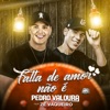 Falta de Amor Não É (feat. Zé Vaqueiro) - Single