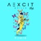 High (Aexcit vs. Mandé Remix) artwork