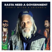 Rasta Need a Government artwork