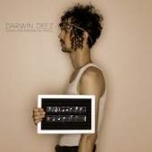 Chelsea's Hotel by Darwin Deez