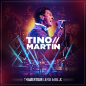 Theatertour Liefde & Geluk (Live Theatertour 2019-2020) artwork