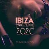 Ibiza Winter Session 2020 (The Island Chill out Pearls) artwork