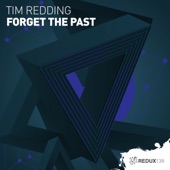 Forget the Past artwork