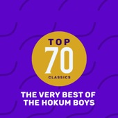 Top 65 Classics - The Very Best of the Hokum Boys