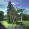 The Adventures of Hollis - Single