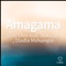 Amagama (feat. Dladla Mshunqisi & Nokwazi) - Sino.I.Am lyrics