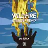 Wildfire (Steerner Remix) - Single album lyrics, reviews, download