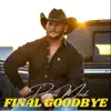 Final Goodbye - Single album lyrics, reviews, download