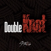 Double Knot artwork