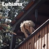 Self Love by Lubiana iTunes Track 1