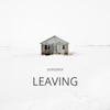 Leaving - Single