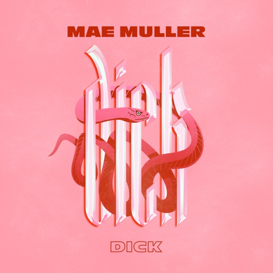 Cover artwork for Dick
