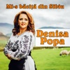 Mi-S Băciță Din Sibiu - Single