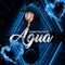 Como Pez en el Agua - Jorge Valencia lyrics
