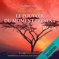 Eckhart Tolle - Mettre en pratique Le pouvoir du moment présent - Enseignements essentiels, méditations et exercices pour jouir d'une vie libérée artwork